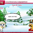  , , 34  -  4  2010   PetLove