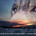 ���� �����, �����-���������, 41 ��� - ��������� 26 ������ 2012