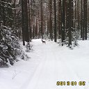 ���� �����, ��������, 44 ���� - ��������� 2 ������ 2013 � ������ ���� ����������