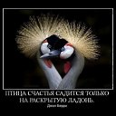 ���� Aksi=))), ������ - ��������� 30 ��� 2010 � ������ �...no comments��