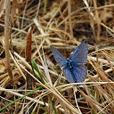 ���� �������, ������ - ��������� 16 ���� 2011 � ������ �������