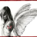 ���� ����������, �����������, 44 ���� - ��������� 24 �������� 2011 � ������ �������