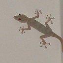  , - -  24  2013     !!!! 2013...