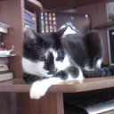   ,  -  26  2013        =)