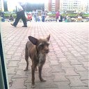 ���� ���������, ����, 42 ���� - ��������� 7 ������� 2011 � ������ ������������� ���� � ��������