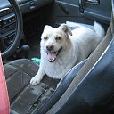 ���� �� ������� ����� ��� ������������