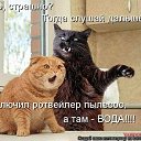 ���� ���������, �����-���������, 83 ���� - ��������� 1 ���� 2011 � ������ ������������� � �����������