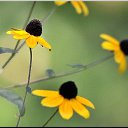 ���� �����, ��������, 47 ��� - ��������� 10 ��� 2013 � ������ ���� ����������