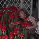 ���� ����������, �����-���������, 50 ��� - ��������� 25 ��� 2013 � ������ ���� ����������