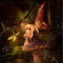 ���� �����, ����� - ��������� 24 ������ 2010 � ������ ������������ �� ����� �������