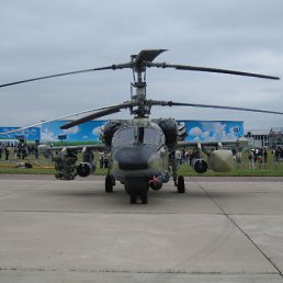 ���� ����, ������� - ��������� 1 ����� 2011