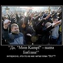 ���� ������, �����, 28 ��� - ��������� 11 ������ 2010 � ������ �������