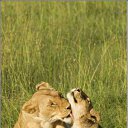 ���� ������, �������, 29 ��� - ��������� 24 ������� 2010 � ������ ���� ����