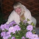 ���� �������, ������, 50 ��� - ��������� 22 ���� 2012 � ������ ���� ����������