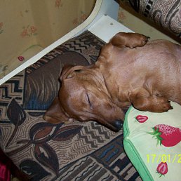 ���� ���������, �����-���������, 71 ��� - ��������� 28 ����� 2012