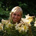 ���� �����, �����, 43 ���� - ��������� 28 ��� 2013 � ������ ���� ����������