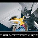  Misterij,  -  10  2013      Ȼ