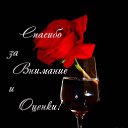 ���� �����, �������������, 28 ��� - ��������� 12 ������ 2010