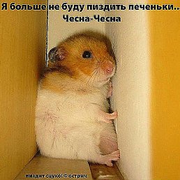 ���� ��������, ������-��-����, 49 ��� - ��������� 21 �������� 2011
