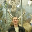 ���� ���, �����������, 38 ��� - ��������� 16 ������ 2013 � ������ ���� ����������