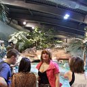 ���� ����, �������, 57 ��� - ��������� 27 ��� 2012 � ������ �Walk into the Sea life centre�