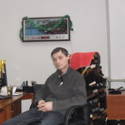 Alex, �����������, 41 ���