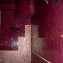 ���� �����, ���������, 44 ���� - ��������� 13 �������� 2010 � ������ ���� ������