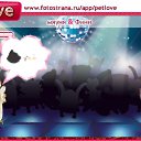 ���� �����, ������, 28 ��� - ��������� 29 ������� 2010 � ������ �PetLove�