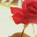 ���� K��k�, ������ ��������, 34 ���� - ��������� 10 ������� 2012 � ������ �������