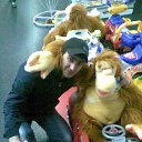 ���� ������, �����������, 33 ���� - ��������� 20 ��� 2012 � ������ ���� ����������