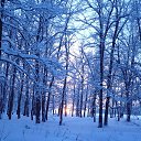 ���� �����, ������, 41 ��� - ��������� 30 ������ 2013 � ������ ����������