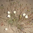 ���� ������@, ������������ - ��������� 27 ���� 2011 � ������ ������������ �� ������