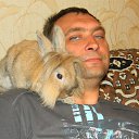 ���� ������, ����������� - ��������� 1 ���� 2013 � ������ ���� ����������