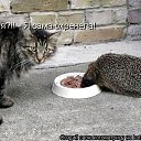���� �����, ���������, 39 ��� - ��������� 23 ������� 2010 � ������ ��������
