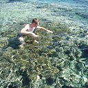 ���� ������, �������, 40 ��� - ��������� 14 ������� 2012 � ������ ���� ����������