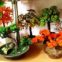 ���� �������, ���������, 37 ��� - ��������� 15 �������� 2011 � ������ ��������������� �� �������