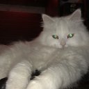 ���� ������� �������������, ������, 38 ��� - ��������� 7 ������ 2013