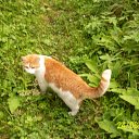 ���� �����, �����-��������� - ��������� 11 ���� 2011 � ������ ���� ���