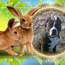 ���� �����, �����������, 46 ��� - ��������� 7 ������� 2010