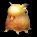 ���� ������ ����, �����������, 44 ���� - ��������� 3 ������� 2011 � ������ ���� ����������