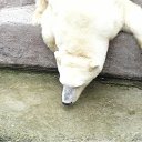 ���� ����� - ���������� ��������!!!, �����������, 56 ��� - ��������� 3 ������� 2009 � ������ �������