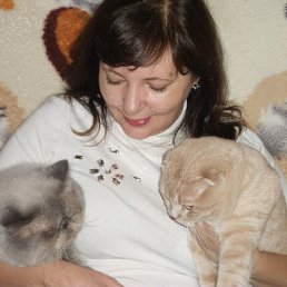 �������, �����������, 64 ����