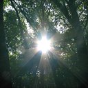 ���� Tanechka, ��������� - ��������� 16 ���� 2012 � ������ ����� �������