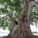 ���� �����, ������ ��������, 46 ��� - ��������� 10 ������� 2012