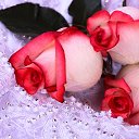 ���� Angelika, ����� - ��������� 8 ����� 2013 � ������ �����ۻ