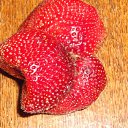  , , 54  -  23  2012   PetLove