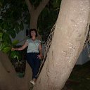 � � �����. �����, 2012.� �� ������� ���� ����������