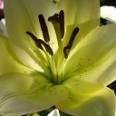 ���� ������, ������, 63 ���� - ��������� 5 ������� 2011 � ������ ������-���� �����-2�