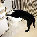 ���� He Tot, ����������, 40 ��� - ��������� 27 ������ 2010 � ������ ���� �������� ��������