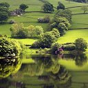 ���� �������, ������������, 52 ���� - ��������� 31 ����� 2010 � ������ �������